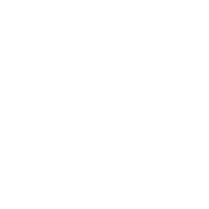 icons8 instagram